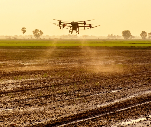 Farmers in Thailand use agricultural drones to spray fertilizer in rice fields.